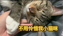 晚上的小猫咪真惹人怜爱  嘿嘿～