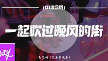 聂思诗（艾米要吃米） - 一起吹过晚风的街 (DJ沈念版)「一起吹过了晚风的街 大概时间可以慢一些」