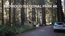 【超清美国】第一视角 加利福尼亚州 红杉树国家公园 (1080P高清版) 2021.10