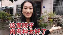 偶遇小院，多肉种的太好，女人看了合不拢嘴，直夸漂亮，田园生活