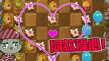 植物大战僵尸：偶遇同款爱心阵容！这一次就没那么好对付了！