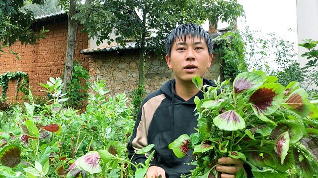 乡村野光视频_乡村野光直播视频_乡村野光精彩视频集锦_虎牙视频