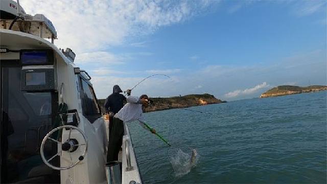 赶风前出海钓鱼,鲈鱼,黑鲷疯狂咬钩狂拉几十条,钓到天黑才回家