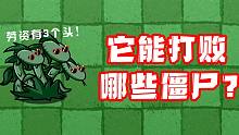 三头蛇草能打败哪些僵尸呢？它有三个头三条命