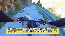 狗子一觉醒来发现自己在飞、瞬间慌的一逼。 #拇指防抖相机GO2 #骑行旅行