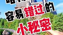 北京环球影城哈利波特区不能错过的小秘密#北京环球影城 #环球影城 #环球影城攻略 #哈利波特