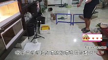 阁主竟然一球不进，气的当场要退货！【爬宠阁】