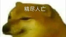 精    尽   人    亡