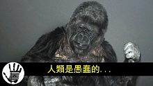 3個開口講話並向人類留下悲傷信號的動物 | 動物 | 悲傷 | 超自然 | 非常人類