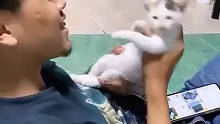 如何调戏一只小猫咪