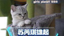 girls planet 999 苏芮琪雄起，大橘与小灰给中国妹妹加油来了！