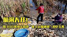 脑洞大开！农民抢收被淹玉米，用300米绳子搭建“水上运输通道”
