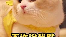 以后不许说我胖，要说结实#猫 #可爱 #养猫经验分享
