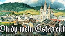 【奥地利军乐】哦！您，我的奥地利！  Oh du mein Österreich