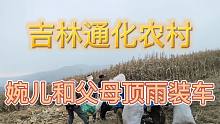 吉林通化农村婉儿和父母顶雨装车的全部过程婉儿父母衣服的湿透了