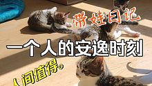 猫妈带三娃！只想躺平每一天