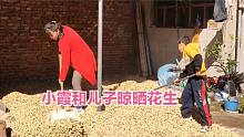 婆婆不在家，小霞叫上儿子帮忙晾晒花生，看看农村人怎么晾晒