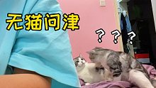 尴尬了...当我故意生气，冷落我的猫时，猫在干什么？