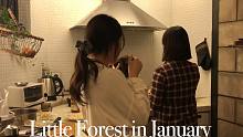 【jamin】99. 视频博客。 一月每日Vlog_小森林-冬天