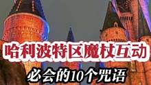 哈利波特区十大咒语集锦，不会你就白玩了#环球影城攻略 #哈利波特魔法咒语