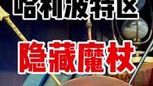 北京环球影城居然有这样的魔杖你知道吗？#北京环球影城 #环球影城 #哈利波特