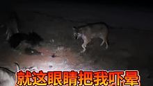 昨晚听见狼叫，幸好没有来，想起在西藏来五匹狼有点后怕 @放羊老汉（虎虎爸爸）(O3xc6xn789d