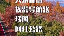 佳木斯大来林场观景台、网红公路视频导航路线图。#佳木斯#达勒花海#网红公路#航拍 #最美的风景在路上