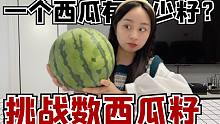 挑战数西瓜籽，一个西瓜有多少籽，就吃多少钱美食！