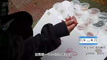 摆摊日记day1【爬宠阁】