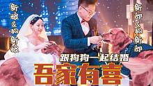 "带着爱犬去结婚”金毛跟主人一起举行婚礼，还帮主人叼来戒指【金毛海德和格格】