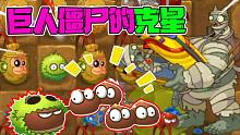 植物大战僵尸：五阶的板栗小队！不仅克制酒壶，还能克制巨人僵尸！