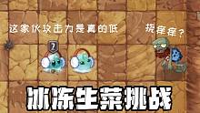 冰冻生菜挑战？这家伙二阶攻击力堪比二阶豌豆！