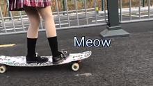 太爱这个视频了 #Meow #长板女孩