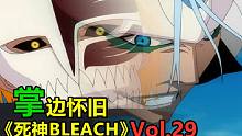 豹王归位！葛力姆乔 VS 虚化一护-【掌】边怀旧《死神BLEACH》经典回顾第29期