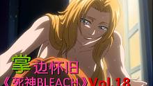 如果你是一护，你会选露琪亚还是织姬？-【掌】边怀旧《死神BLEACH》经典回顾第18期