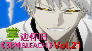 他是死神里最出名的坐騎，還和男主角挺像的-【掌】邊懷舊《死神BLEACH》經(jīng)典回顧第21期