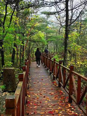 这样的秋天你喜欢吗？#秦岭青峰峡 #风景 #治愈系风景 #行走山水间 