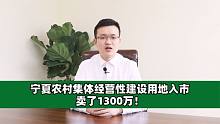 宁夏农村集体经营性建设用地入市卖了1300万！
