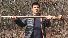 农村山上最不起眼的黄荆树，做成拐杖，雕刻一下能卖1000多