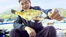 阿兴赶海归来饿得慌，直接抓几条鱼烤了吃，这生活太享受了