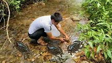 大家都嫌弃的脏东西，小伙将它往小溪边一放，惊喜一个接一个