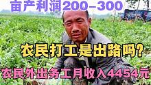 亩产利润200-300，农民外出务工月收入4454元，打工是条出路吗？