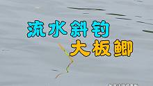 钓鱼：走水严重的河道，如何调漂中大鱼？可以试试我的方法！