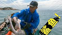 渔民老魏出海大丰收，海货抓了满满一车，还有狗鲨老虎鱼发财了