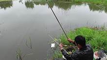 野钓：白条这样钓才过瘾，这上鱼速度太快了