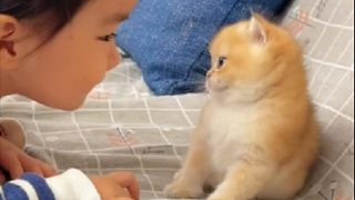 這玩意不比人類幼崽可愛？