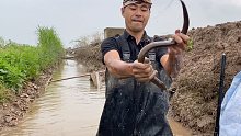 安徽最后一站，小沟渠里抓大货，收获满满！