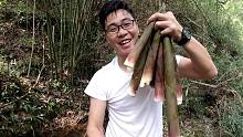 拔笋的声音太好听了，小溪边的竹笋长出来了，一个接一个真过瘾