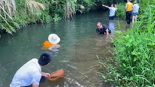 江西农村河里拍到的真人趣事，一群人蹲在水里一下午干啥，看看吧