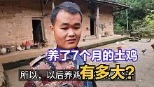 四川农村小伙深山老宅养土鸡，7个月时间过去了，这场面不敢相信